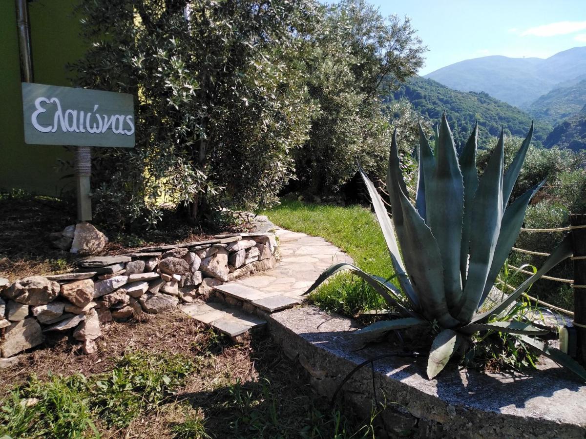 Ελαιώνας - Solar Energy House Villa Khorevtón Luaran gambar