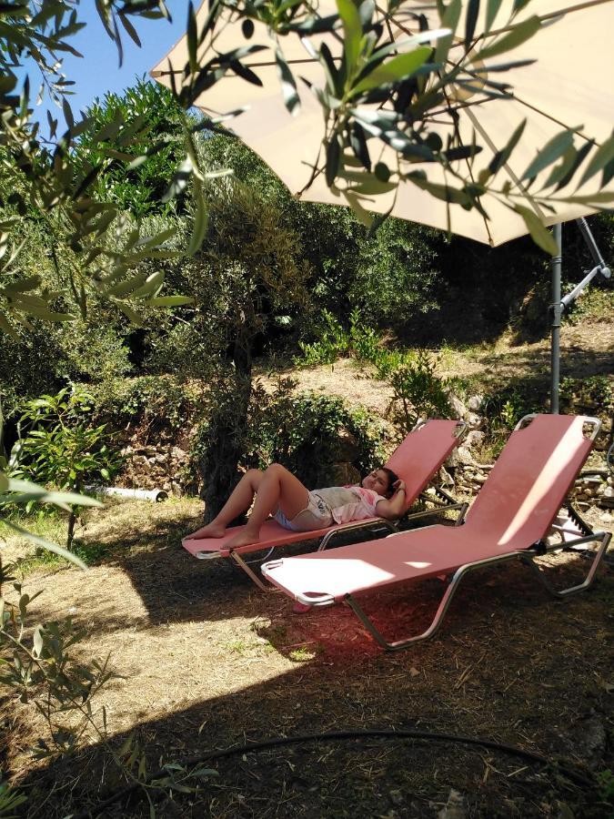 Ελαιώνας - Solar Energy House Villa Khorevtón Luaran gambar